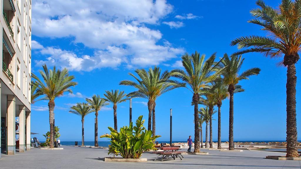 Homely Apartments Blasco Ibanez Torrevieja Ngoại thất bức ảnh